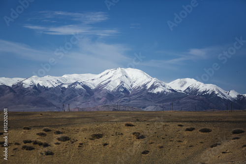 Obraz na płótnie The vast Mongolian steppe stretches toward snow-capped mountains, creating a breathtaking and tranquil landscape. w salonie