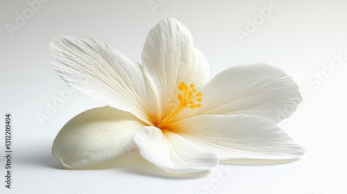 A detailed macro shot of a white flower showcasing its delicate petals and yellow center, set against a soft, light background.