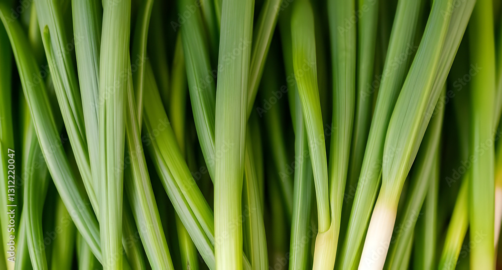A bunch of green onions with a crisp appearance. Fresh and aromatic vibe A bunch of green onions with a crisp appearance. Fresh and aromatic vibe