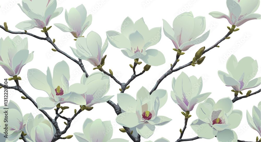 Obraz premium magnolia