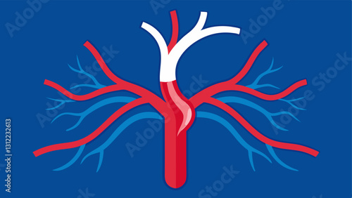Vascular Improvement An illustration of arteries and s becoming clearer and more vibrant with oxygen emphasizing improved circulation.