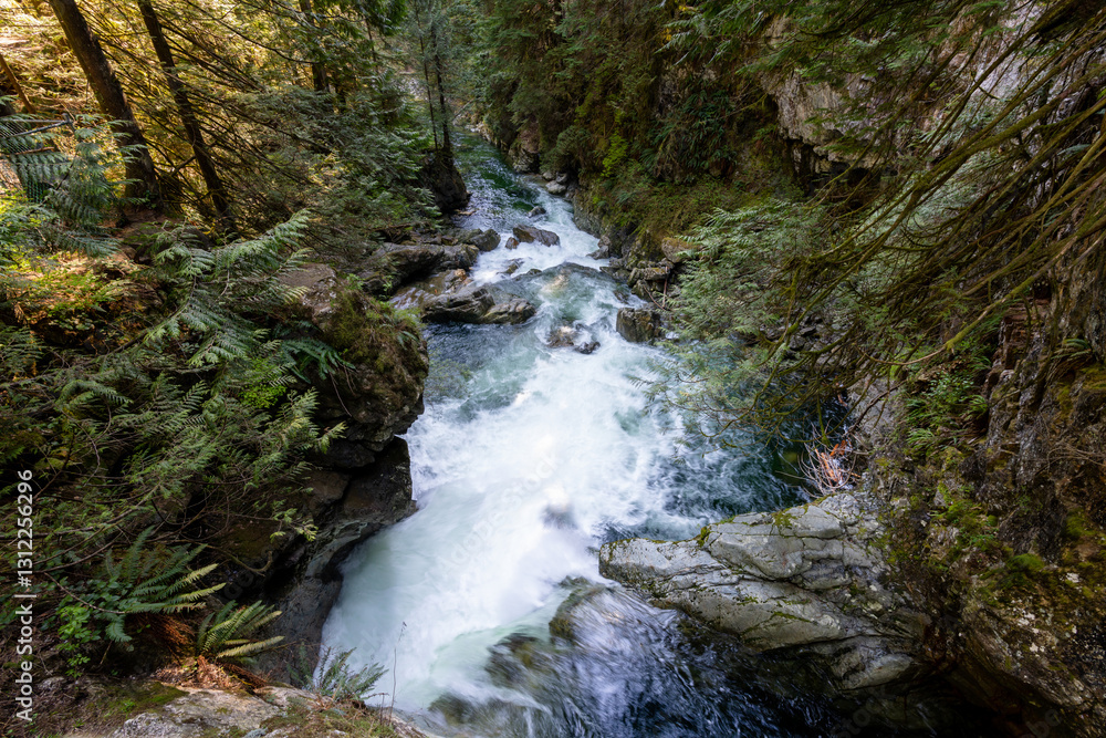 Fototapeta premium Lynn Canyon Park Twin Falls, North Vancouver, British Columbia, Canada.
