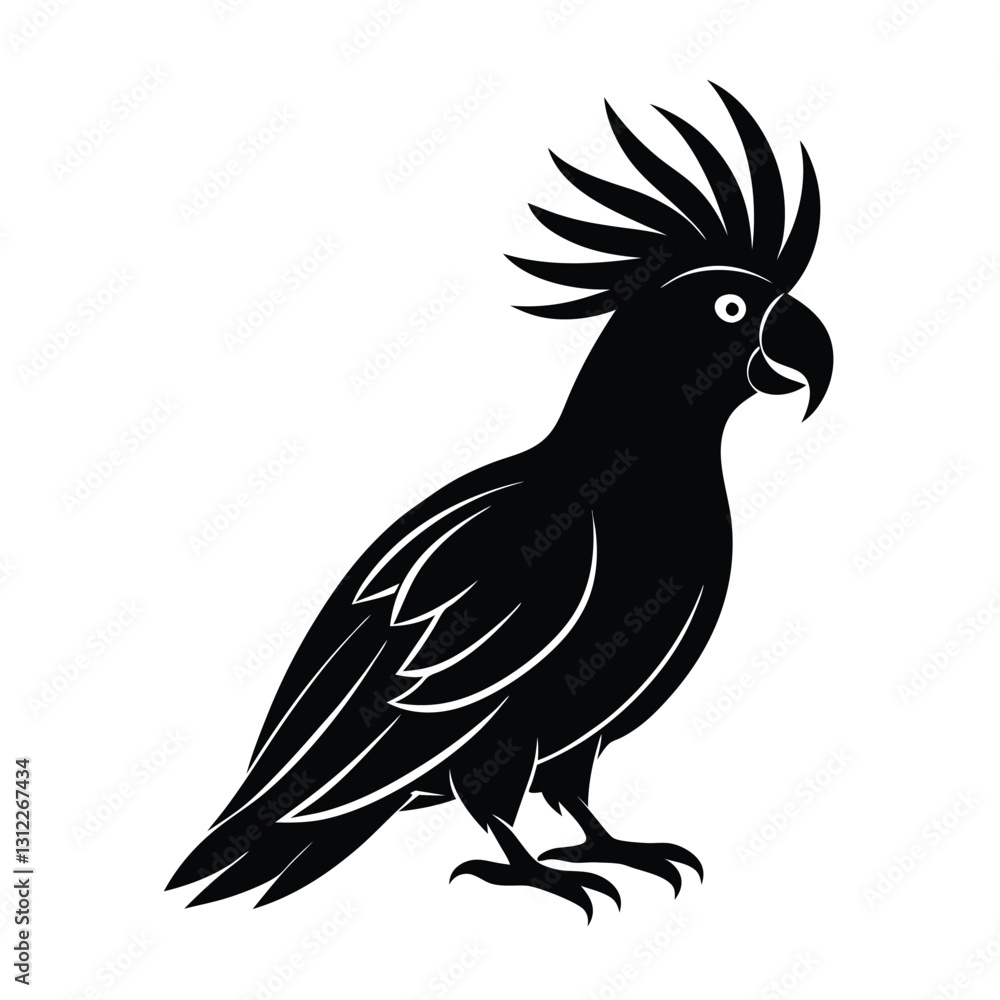 Cockatoo Silhouette Vector Art | Black and White Cockatoo Bird Illustration Cockatoo Silhouette Vector Art | Black and White Cockatoo Bird Illustration