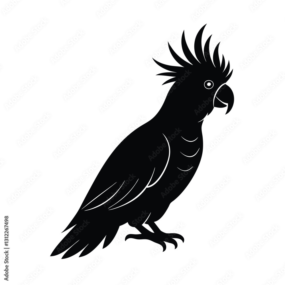 Cockatoo Silhouette Vector Art | Black and White Cockatoo Bird Illustration Cockatoo Silhouette Vector Art | Black and White Cockatoo Bird Illustration