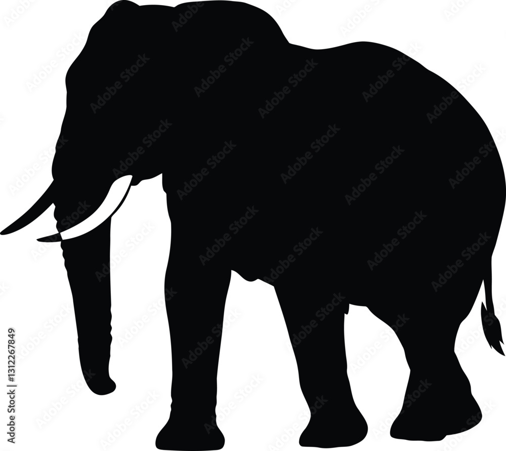 Fototapeta premium Black Silhouette Elephant Walking Vector
