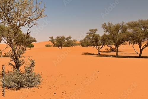 View of the Arabian Desert near Buraydah city. Saudi Arabia. Asia.