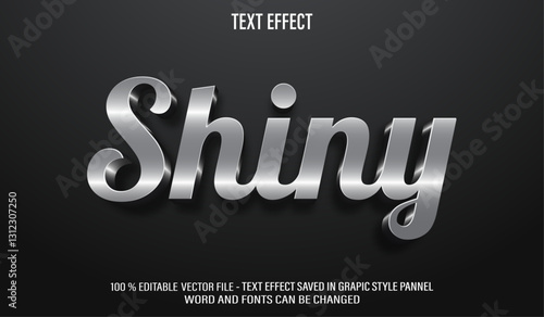 Shiny Silver 3d editable text effect style