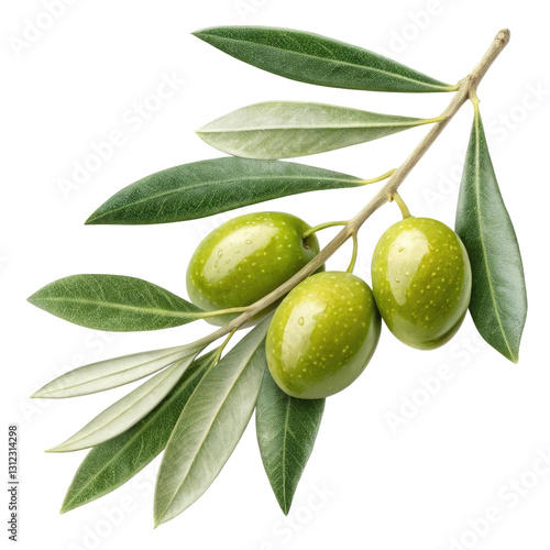 Wallpaper Mural Green olives with leaves on a branch isolated on transparent background Torontodigital.ca