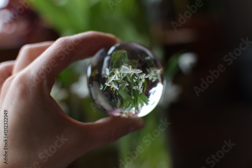 Flower Reflected Inside a Glass Ball Held by Hand, Macro Reflection Photography