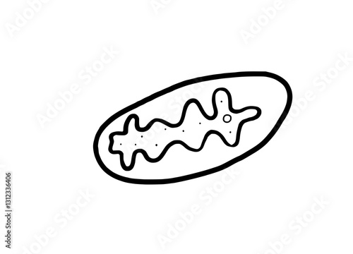 Mitochondrium Zeichnung 