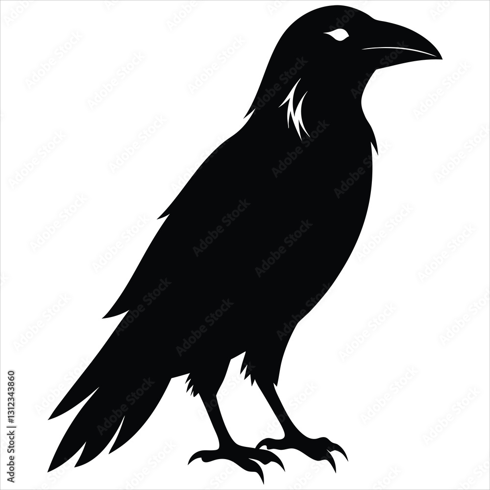 Fototapeta premium silhouette crow image on white background 