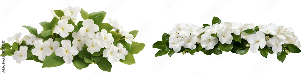 White Flower Pile Isolated on Transparent Background White Flower Pile Isolated on Transparent Background