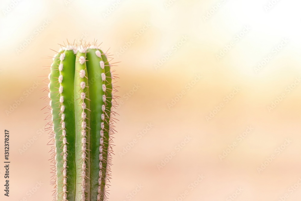 capture close-up image of desert cactus under gentle embrace of dawn light highlights its intricate texture and vivid capture close-up image of desert cactus under gentle embrace of dawn light highlights its intricate texture and vivid