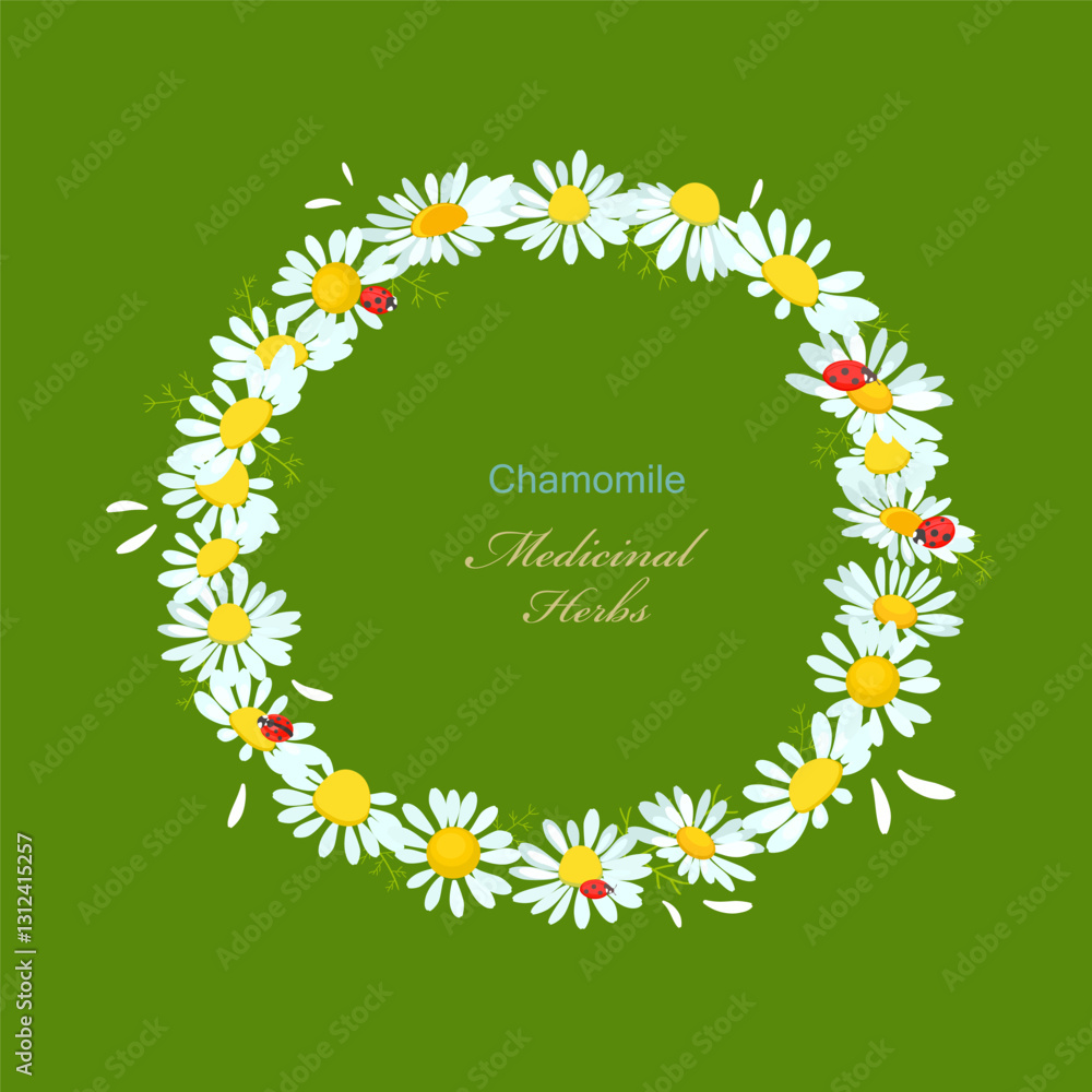 Fototapeta premium wreath with chamomile flowers and ladybugs. round frame with camomile wildflowers. card with daisy vector illustration