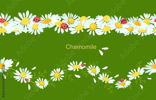 collection of seamless borders with chamomile flowers and ladybugs. camomile wildflowers. daisy vector illustration