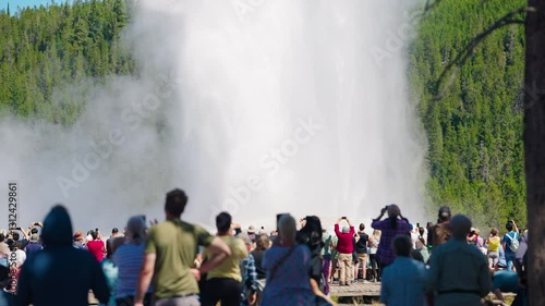 Crowds of Yellowstone visitors gather to capture Old Faithful erupt.