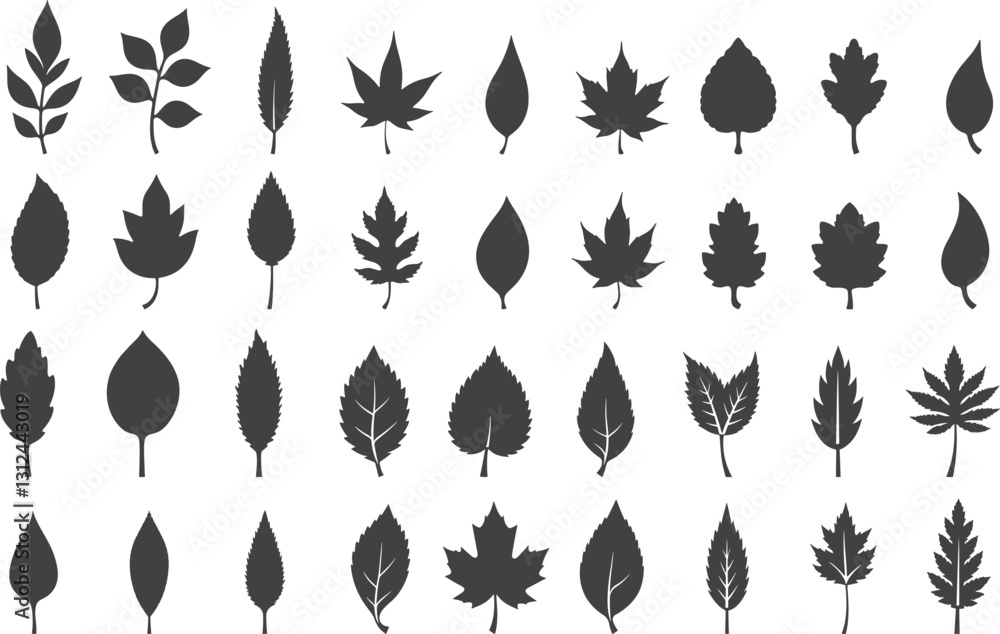 Obraz premium Elegant Silhouette Leaf Icons Set Collection Isolate on White Background