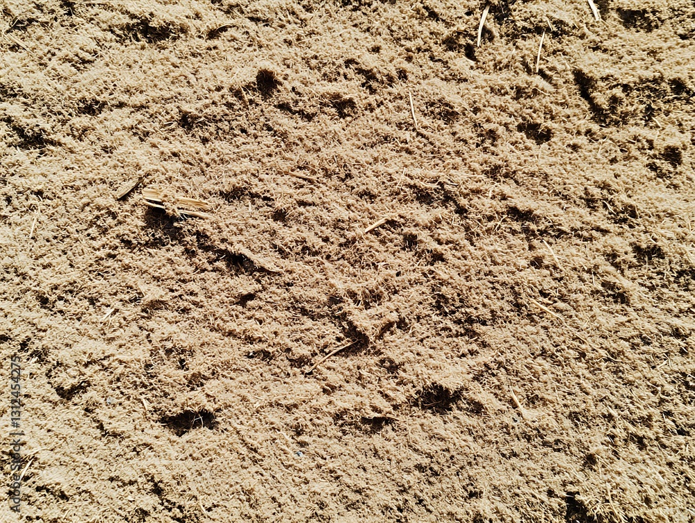 Textural expanse of fibrous mulch creating a rough earthy surface
