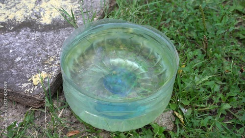 Homemade plastic pot in the garden with drinking water for pets