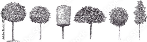 Decorative garden trees in hand drawn engraving sketch style. Set of pen and ink topiary plants different shapes. Vintage monochrome vector illustration.