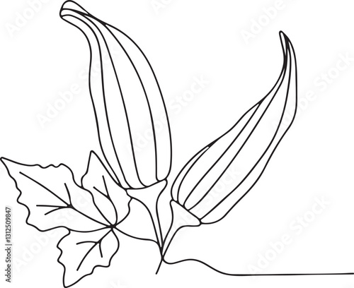 Okra Vector Illustration in Clean Line Art Style
