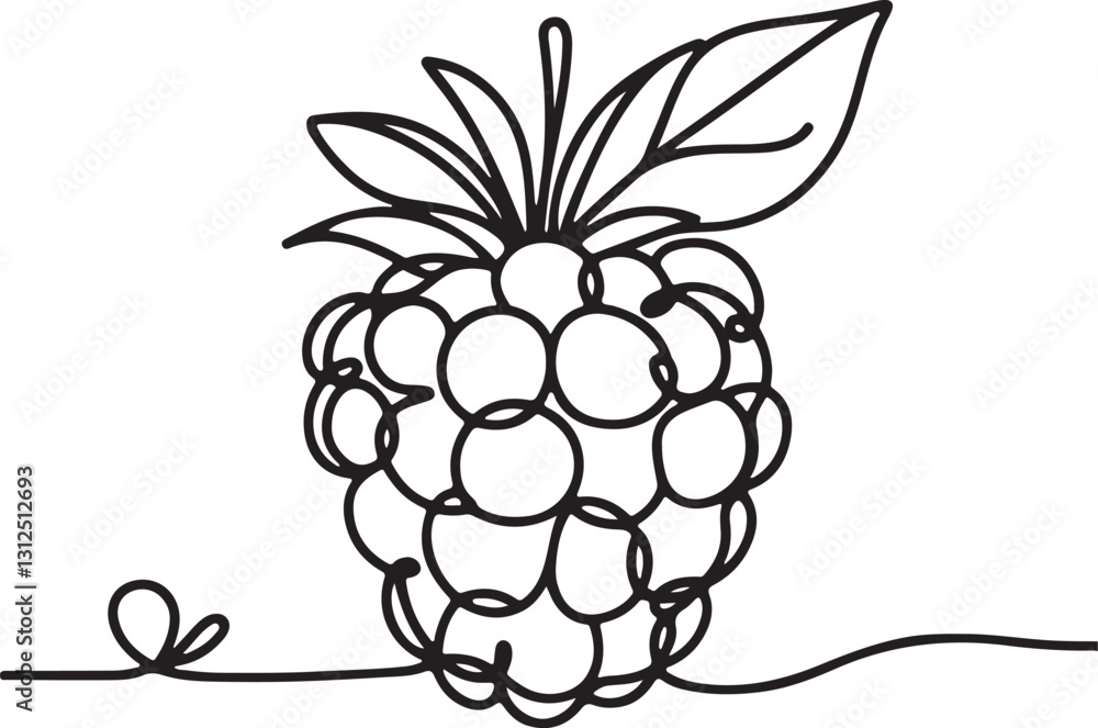 Raspberry Line Drawing Vector Art Raspberry Line Drawing Vector Art