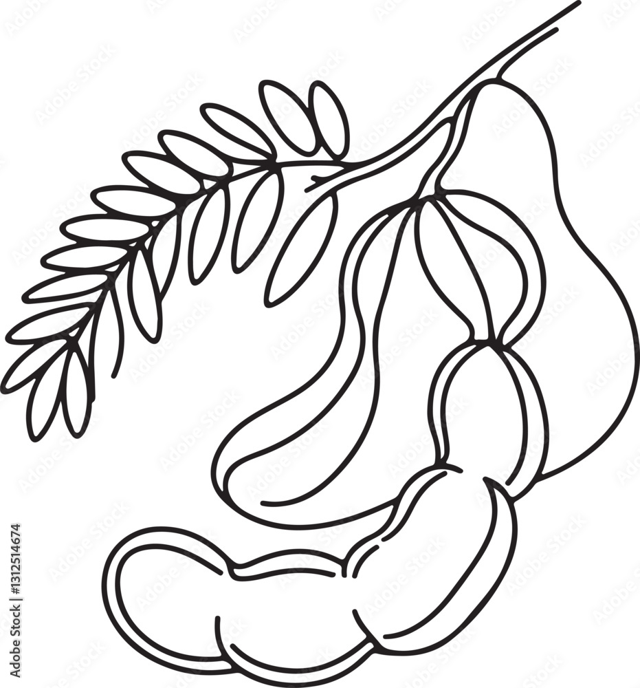 Minimalist Tamarind Line Drawing Vector Art Minimalist Tamarind Line Drawing Vector Art