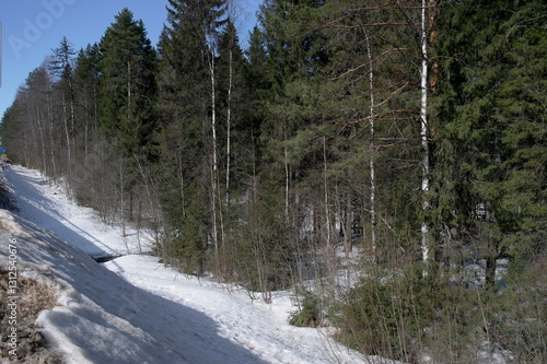 forest river in early spring on a sunny day