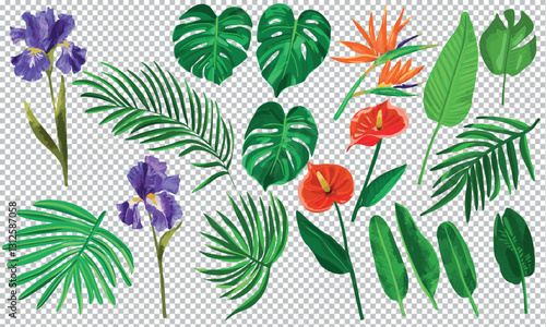 Ensemble fleurs et feuilles tropicales vecteur vert rouge violet plante nature