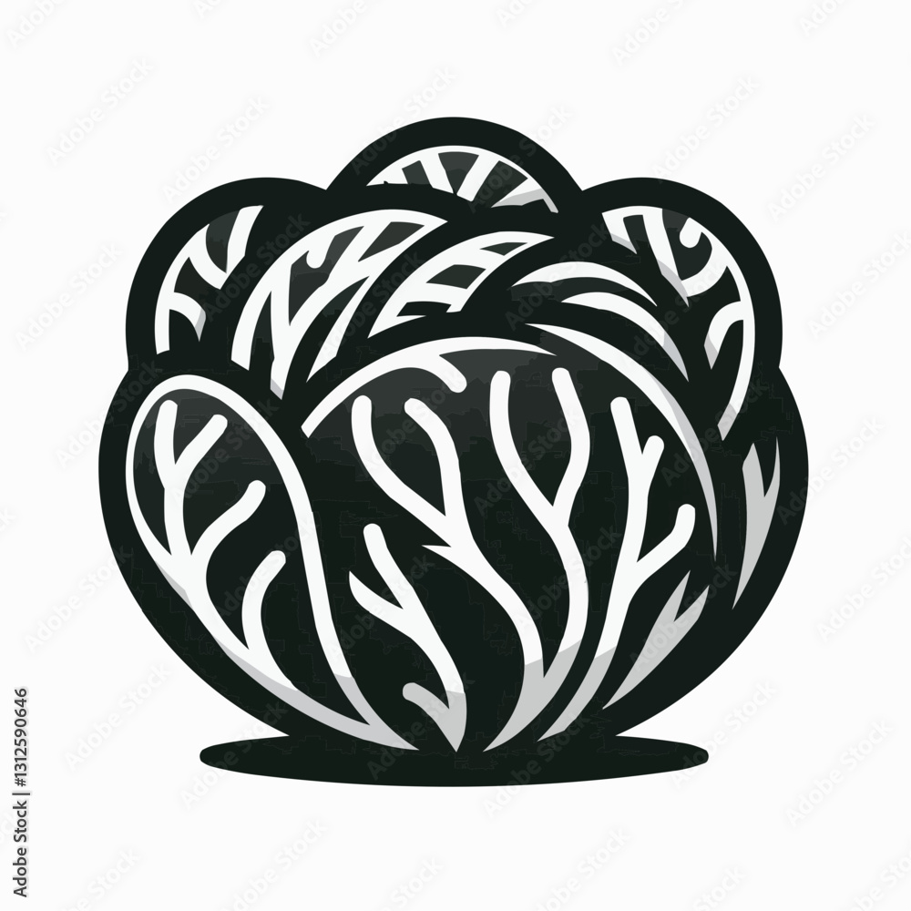 Stylized black and white illustration of a cabbage with ornamental leaves Stylized black and white illustration of a cabbage with ornamental leaves