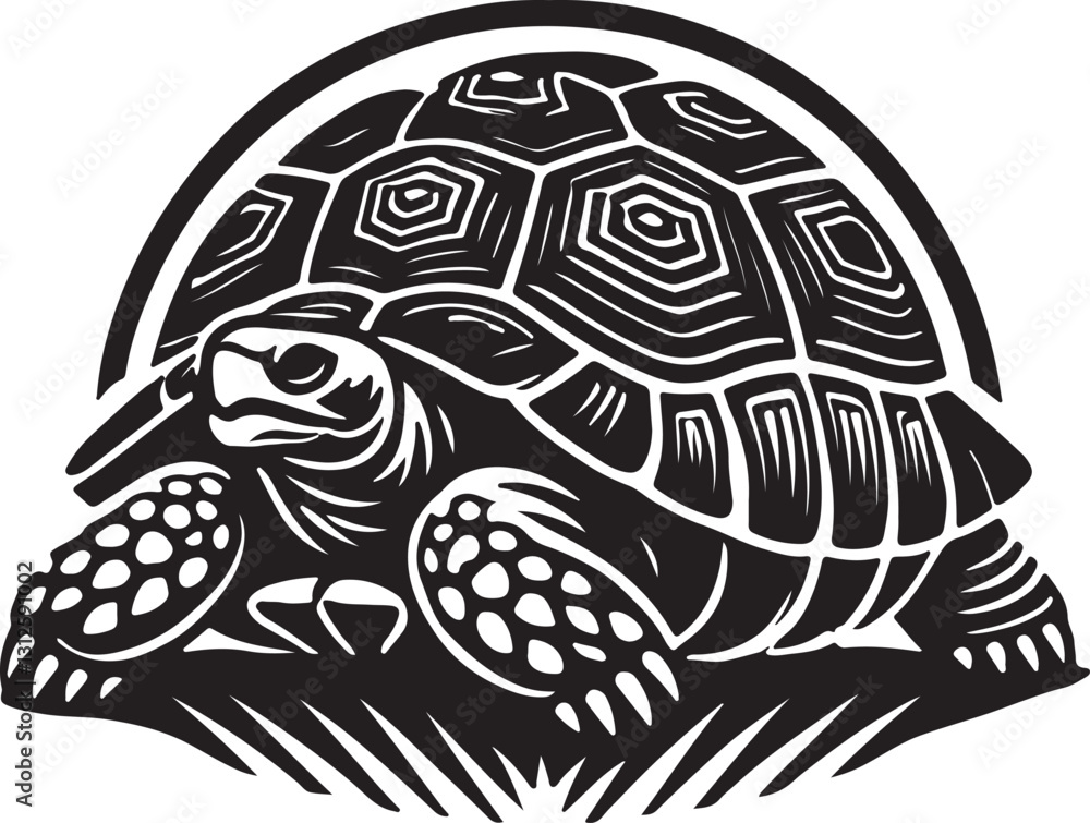 turtle vector illustration turtle vector illustration
