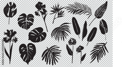Ensemble fleurs et feuilles tropicales vecteur noir plante nature