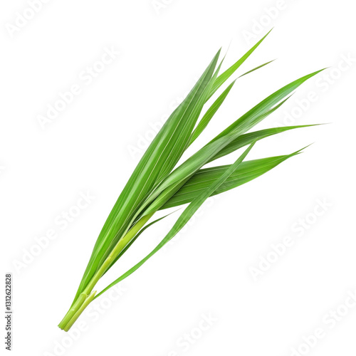 Wallpaper Mural Vibrant Green Tropical Leaves . Transparent background PNG Torontodigital.ca