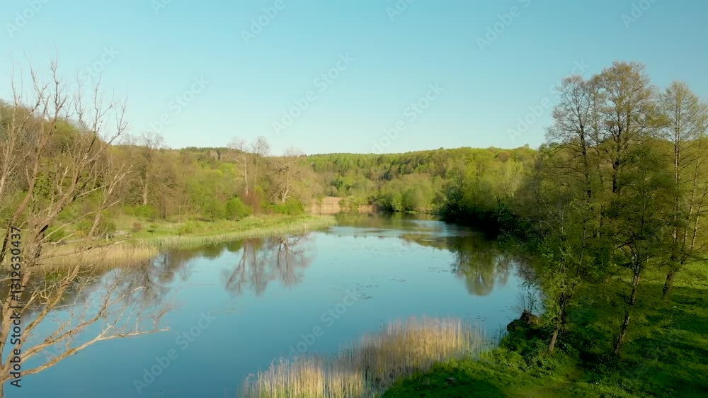 Beautiful aerial forest scene in summer. Green trees and river on sunny summer day. City park scenery. Beautiful aerial forest scene in summer. Green trees and river on sunny summer day. City park scenery.