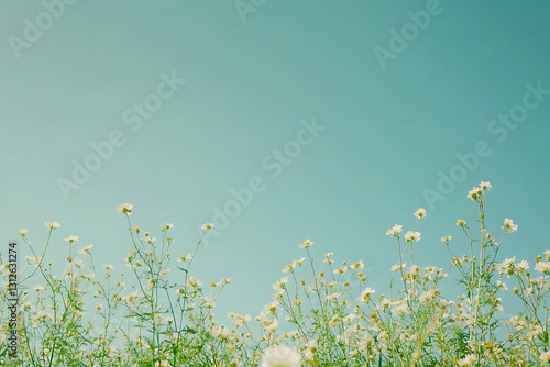 Fototapeta Naklejka Na Ścianę i Meble -  Delicate White Flowers Against a Pastel Sky