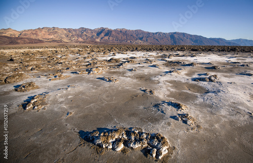 dead sea salt lake photo