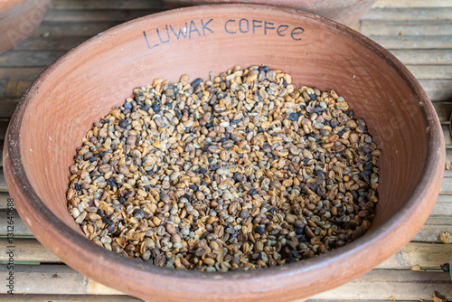 Obraz na płótnie Raw beans of luwak coffee in the big clay dish on the wooden table. One of the steps of preparing of the most expensive coffee in the world. A row of the plates with coffee beans w salonie