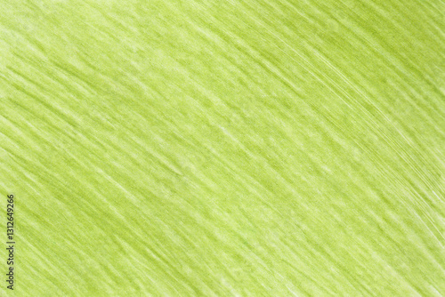 Obraz na płótnie Mustard green pencil hatched texture. Pencil colored background. w salonie