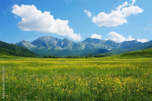 High-resolution nature landscapes for any use