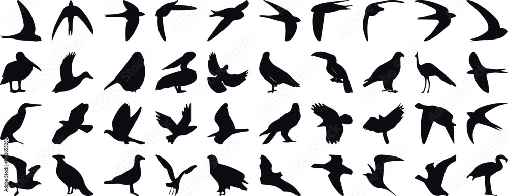 bird silhouette vector illustration, perfect for logo design, art projects, and graphic design. Diverse positions, flying, perching