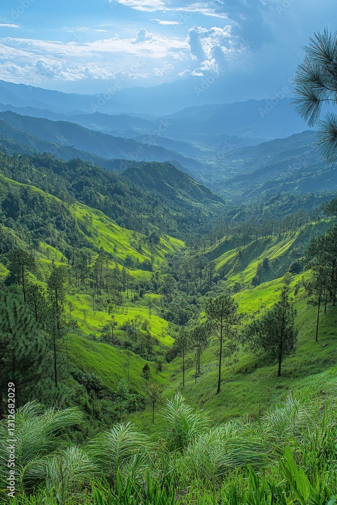Fototapeta premium Green mountain valley view. Hillside forest landscape with trees and grass. Beautiful nature scene under blue sky with soft clouds.
