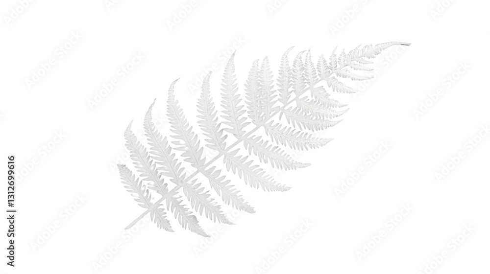 White fern leaf with transparent background representing purity and nature White fern leaf with transparent background representing purity and nature