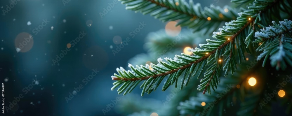Sparkling white lights on frosted evergreen branch, greenery, nature Sparkling white lights on frosted evergreen branch, greenery, nature