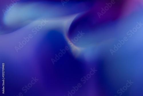 Macro Flower Blossom Background blue purple