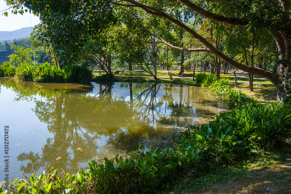 a public place leisure travel landscape lake views at Ang Kaew Chiang Mai University and Doi Suthep nature forest Mountain views spring cloudy sky background with white cloud.