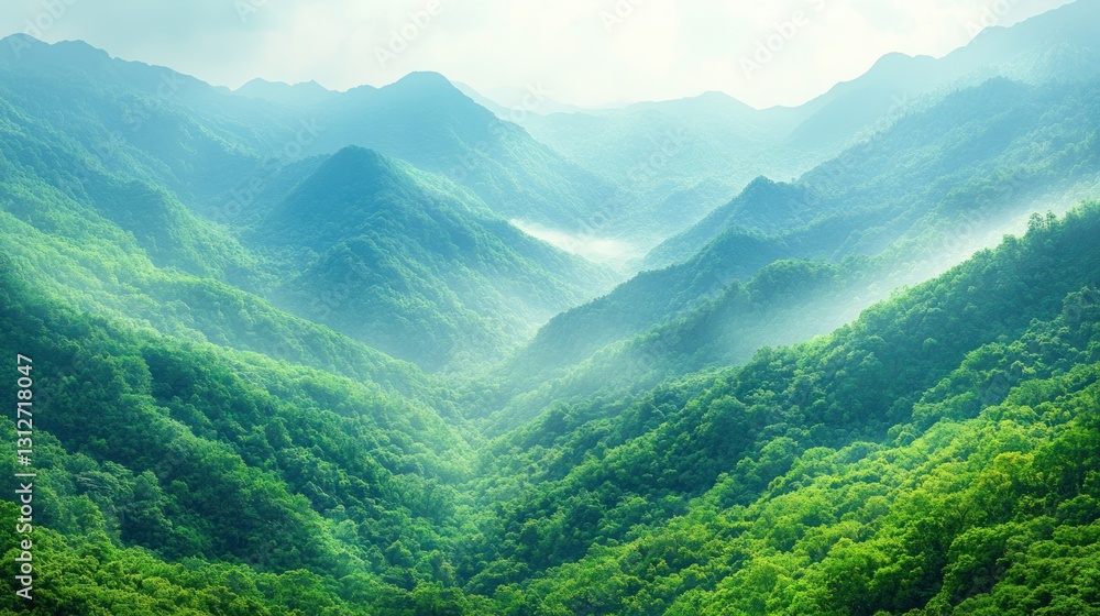 Fototapeta premium Misty mountain valley landscape, scenic view, green forest, travel poster