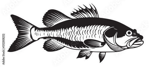Monochrome Line Art Vector of a Fin Fish, Intricate Anatomy and Fin Details, Classic Etching Style for Nature Art and Graphic Applications

