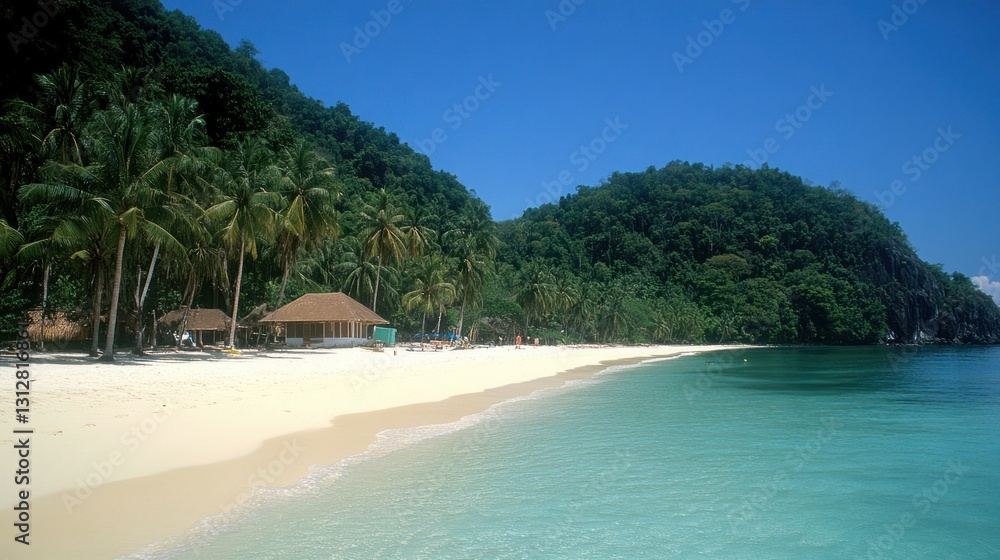 Obraz premium Idyllic Tropical Beach with White Sand, Palm Trees and Turquoise Water