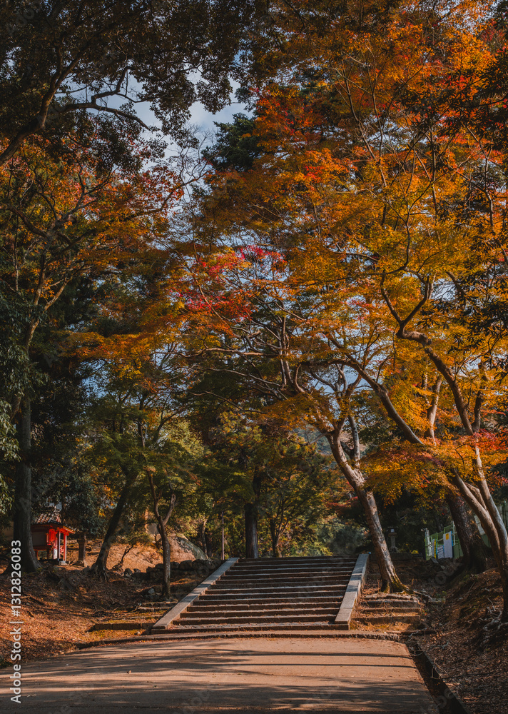 Nara Park Autumn, Japan
