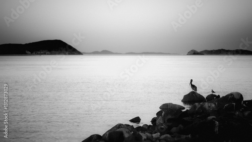 Paisaje de Bahía de Los Angeles Baja California México